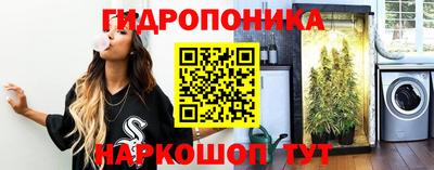 соль ск Тара