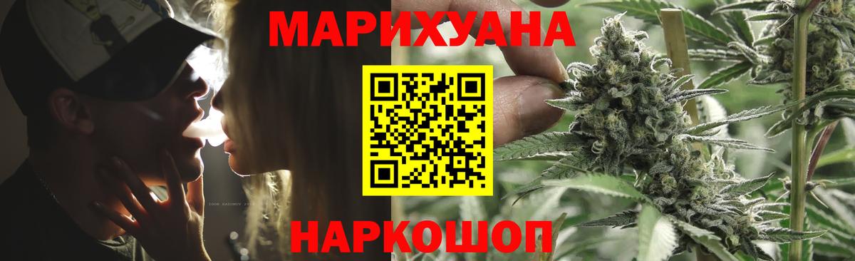 Конопля сатива Алатырь